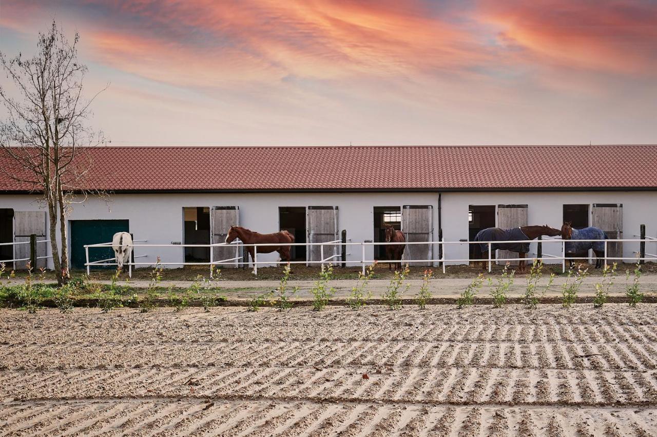 Villa Brussa Horse Oasi Caorle Exterior foto